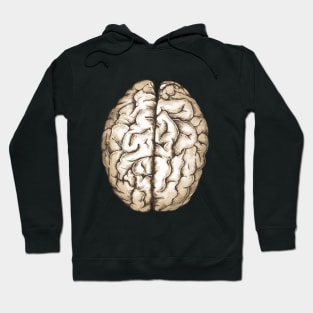 Brain human anatomy,vintage style, mental, watercolor Hoodie